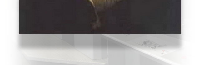 ( illusioni ottiche e curiosità artistiche )